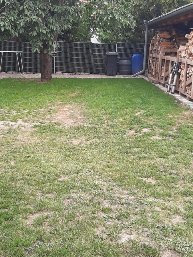 Ferienhaus Flotte Biene In Buggow Rubkow المظهر الخارجي الصورة